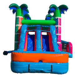 DJI 20251230113140 0034 D 1767748571 Electric Tropics Combo