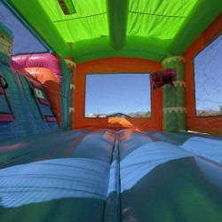 IMG 4508 1767748571 Electric Tropics Combo