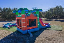 DJI 20251230113210 0037 D 1770754804 Electric Tropics Combo