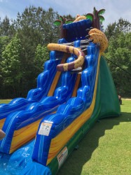 IMG 1789 1770754192 19' Hidden Jaguar