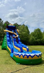 IMG 2943 1770754192 19' Hidden Jaguar