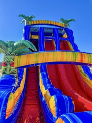 IMG 3569 1770754510 22' Wiki Tiki